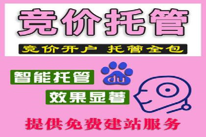 百度推广平台：从零到一的营销策略案例